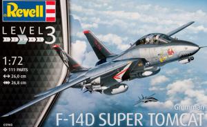 Grumman F-14D Super Tomcat 