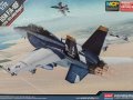 USN F/A-18F 