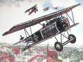Fokker D.VI