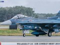 Mitsubishi F-2A Air Combat Meet 2013 